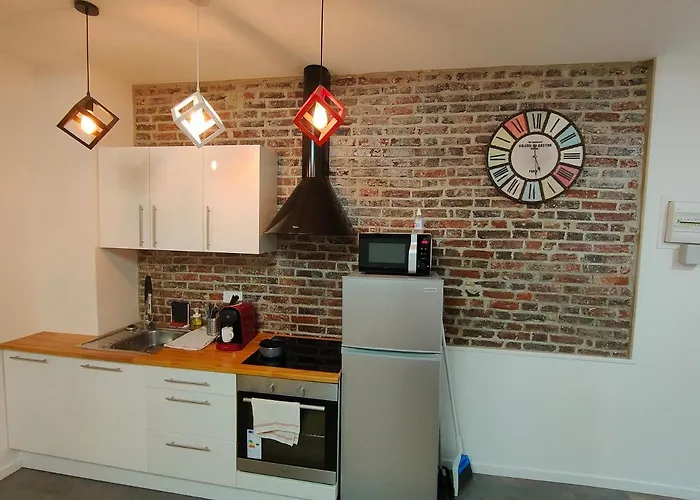 Les Lofts De Provins: 5 아파트 *